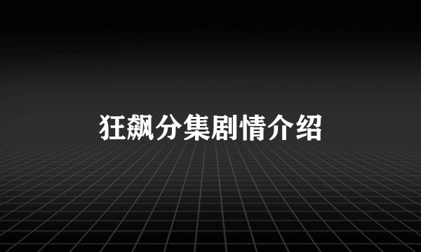 狂飙分集剧情介绍