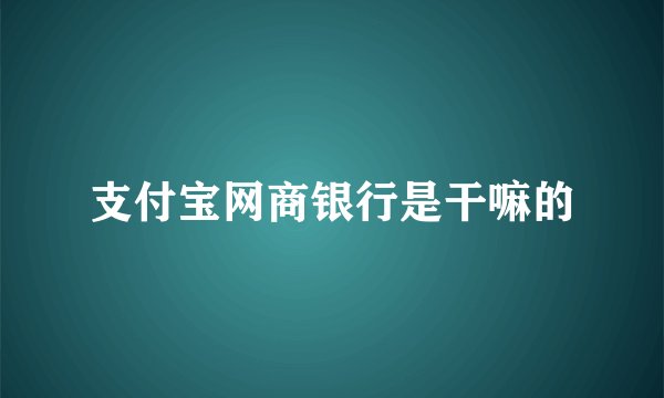 支付宝网商银行是干嘛的