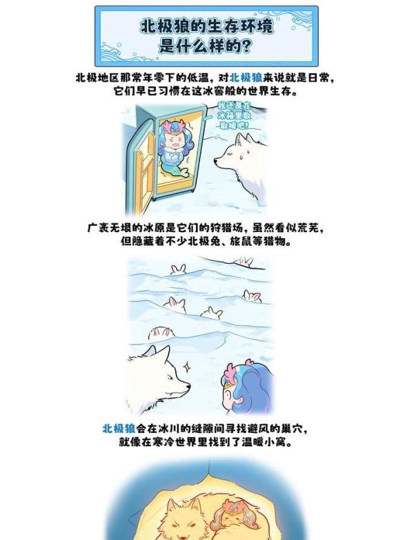 趾如疾风 势如闪电