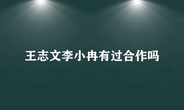 王志文李小冉有过合作吗