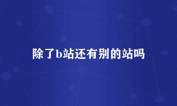 除了b站还有别的站吗
