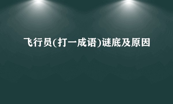 飞行员(打一成语)谜底及原因