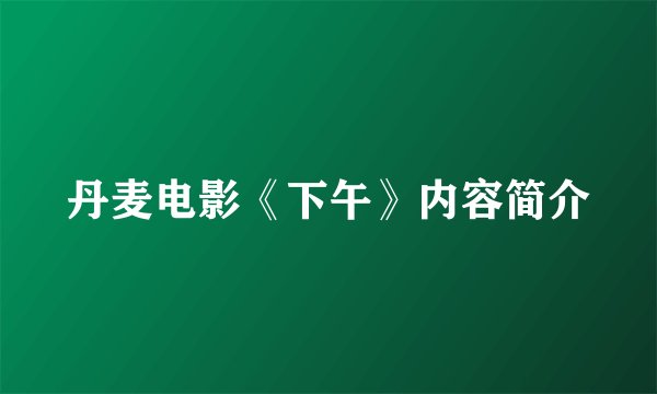 丹麦电影《下午》内容简介