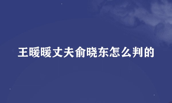王暖暖丈夫俞晓东怎么判的
