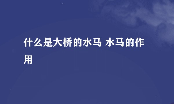 什么是大桥的水马 水马的作用