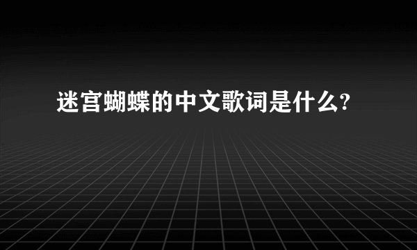 迷宫蝴蝶的中文歌词是什么?