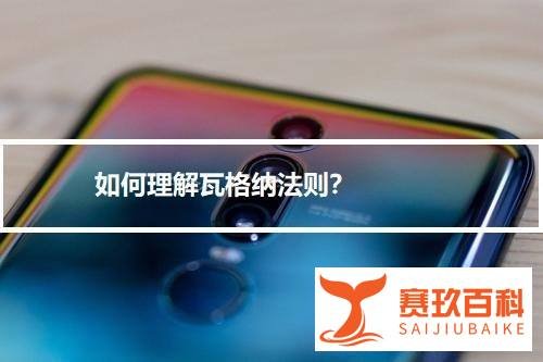 如何理解瓦格纳法则？
