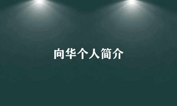 向华个人简介