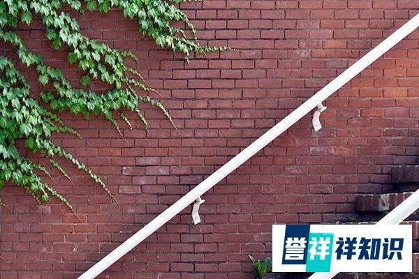 38岁林俊杰演唱会呼吸困难上热搜：人生下半场，拼的是健康和精力
