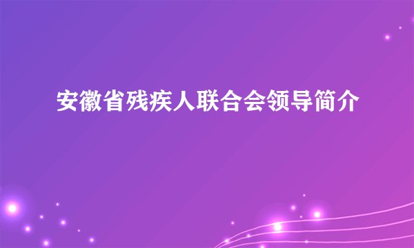安徽省残疾人联合会领导简介