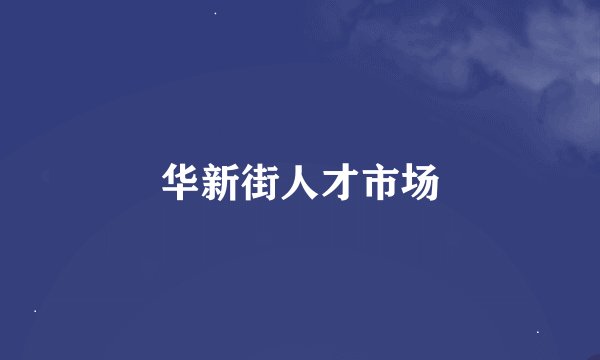 华新街人才市场