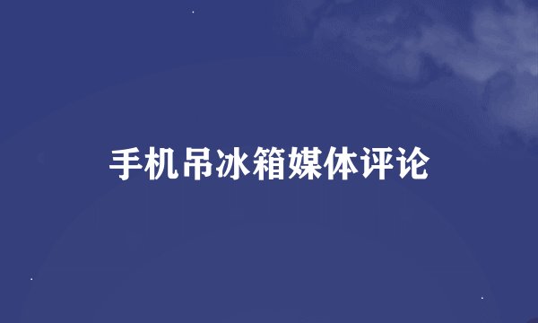 手机吊冰箱媒体评论