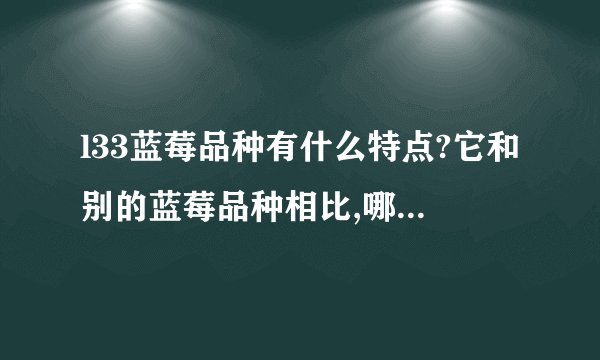 l33蓝莓品种有什么特点?它和别的蓝莓品种相比,哪个更适合家庭种植?