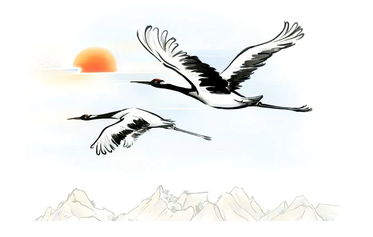 闲云野鹤是什么动物