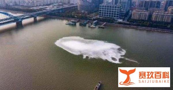钱塘江漩涡原因真相，水怪现身？