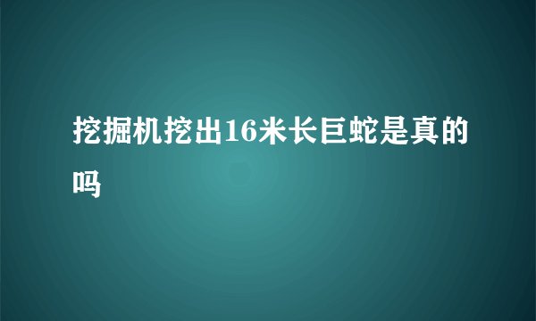 挖掘机挖出16米长巨蛇是真的吗