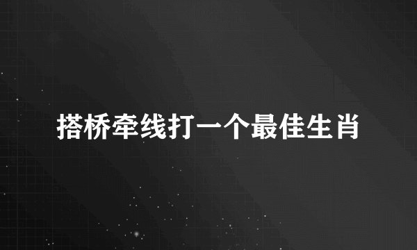 搭桥牵线打一个最佳生肖