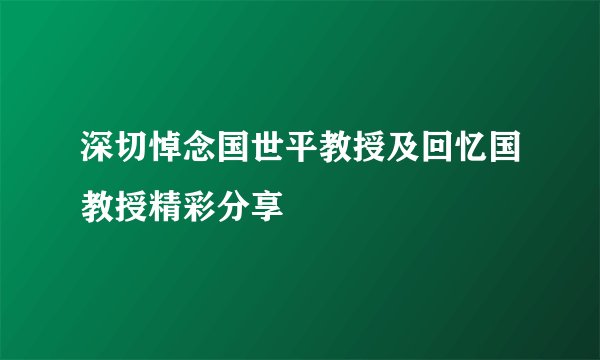 深切悼念国世平教授及回忆国教授精彩分享