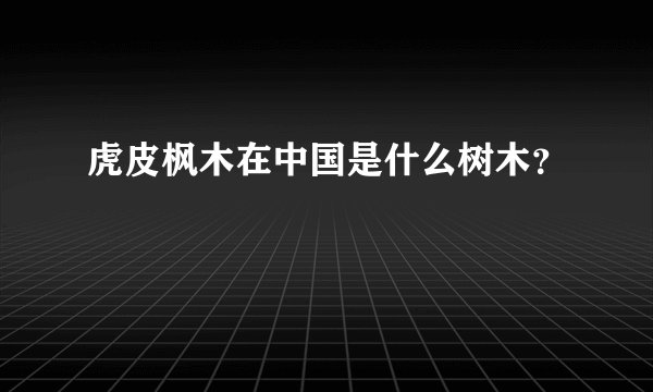 虎皮枫木在中国是什么树木？