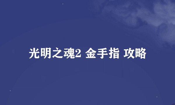 光明之魂2 金手指 攻略