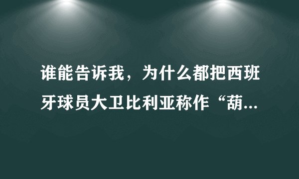 谁能告诉我，为什么都把西班牙球员大卫比利亚称作“葫芦娃”呢?