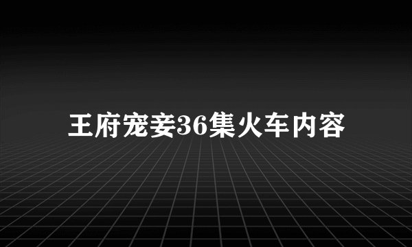 王府宠妾36集火车内容