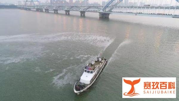 钱塘江漩涡原因真相，水怪现身？