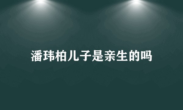 潘玮柏儿子是亲生的吗