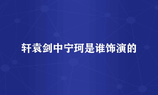 轩袁剑中宁珂是谁饰演的