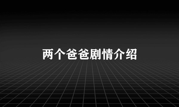 两个爸爸剧情介绍