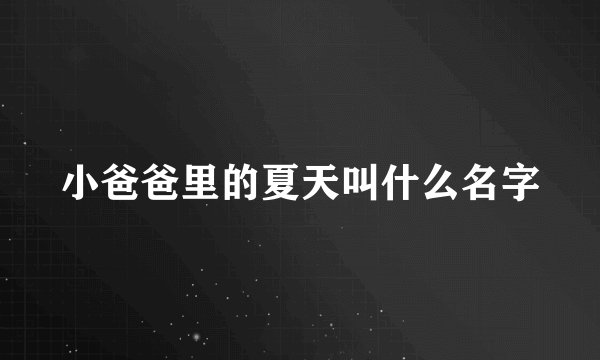 小爸爸里的夏天叫什么名字