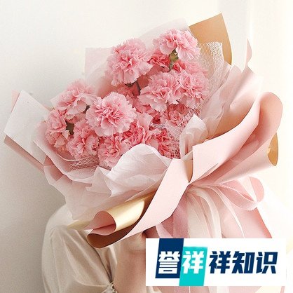 给母亲送康乃馨的禁忌你知道哪些?康乃馨送花禁忌