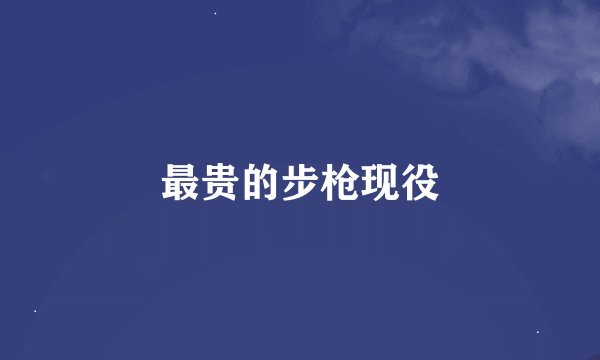 最贵的步枪现役