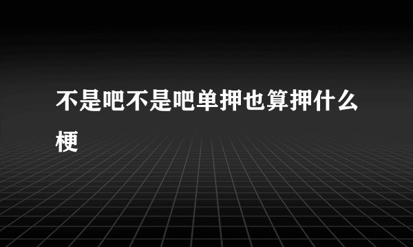 不是吧不是吧单押也算押什么梗