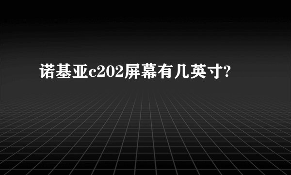 诺基亚c202屏幕有几英寸?