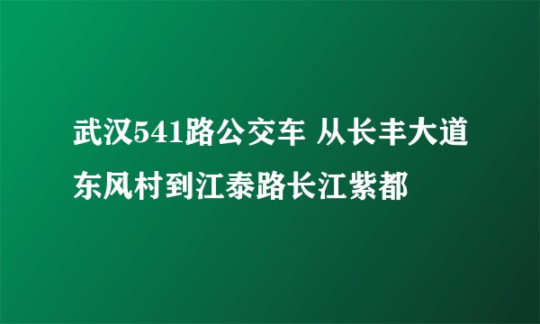 武汉541路公交车 从长丰大道东风村到江泰路长江紫都