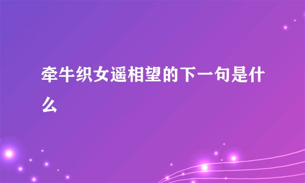 牵牛织女遥相望的下一句是什么