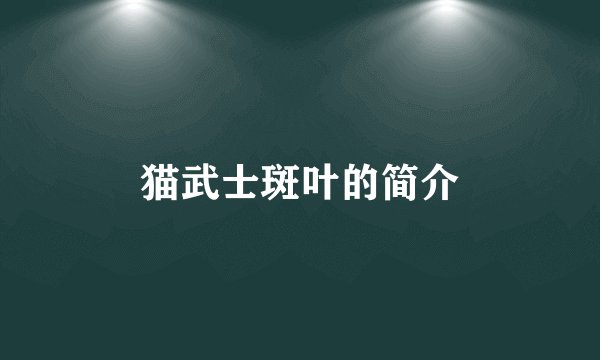 猫武士斑叶的简介