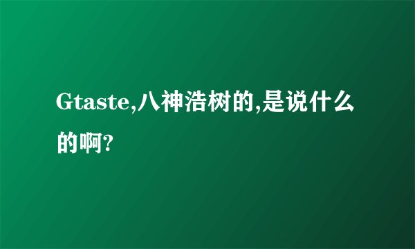 Gtaste,八神浩树的,是说什么的啊?
