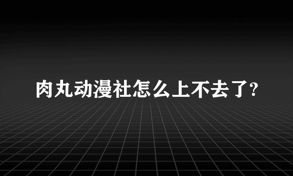 肉丸动漫社怎么上不去了?