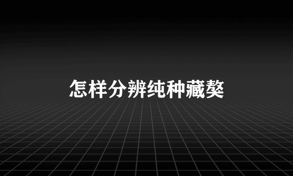 怎样分辨纯种藏獒