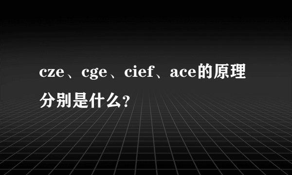cze、cge、cief、ace的原理分别是什么？