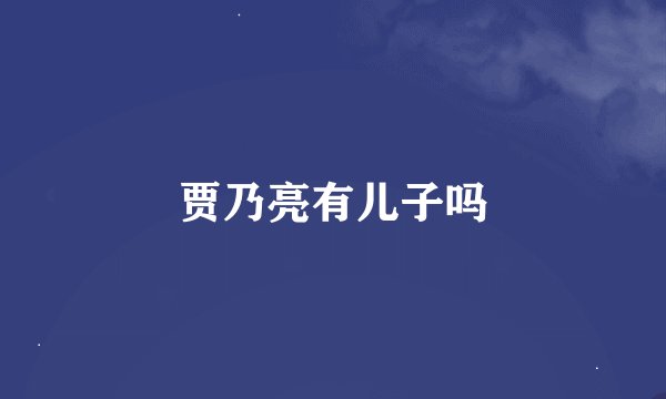 贾乃亮有儿子吗