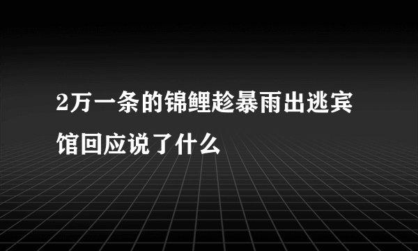 2万一条的锦鲤趁暴雨出逃宾馆回应说了什么