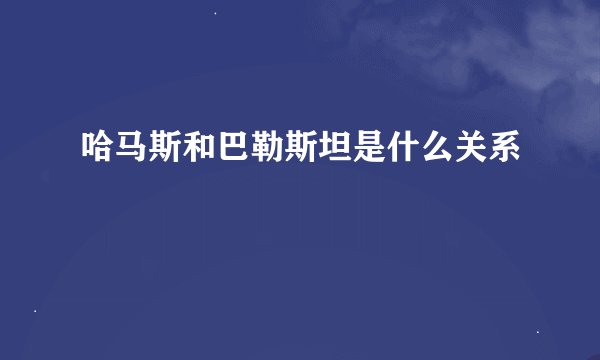哈马斯和巴勒斯坦是什么关系
