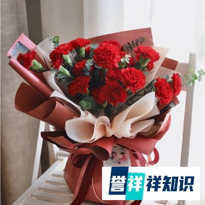 给母亲送康乃馨的禁忌你知道哪些?康乃馨送花禁忌