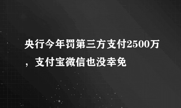 央行今年罚第三方支付2500万，支付宝微信也没幸免