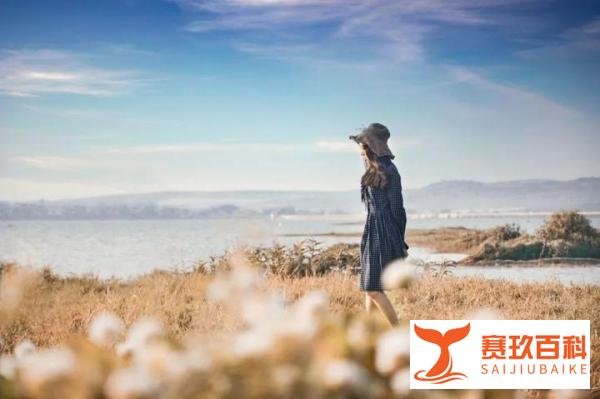 所有的为时已晚，都是恰逢其时：致2023年的最后一个月