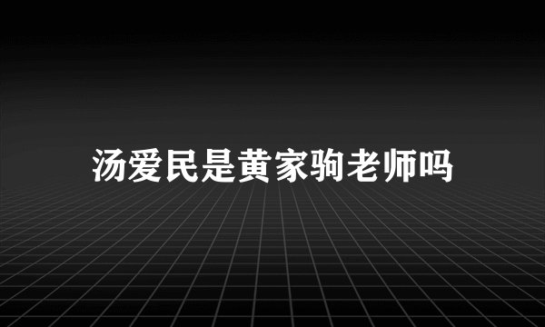 汤爱民是黄家驹老师吗