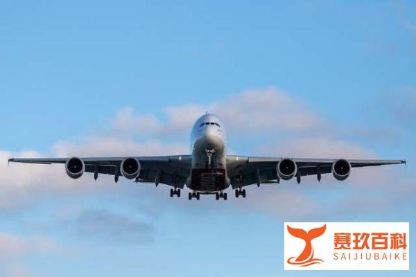 桂林航空突然停航?中小航空公司该如何求生?